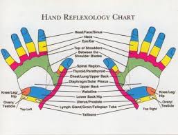 Reflexology Chart Back Of Hand Hand Reflexology