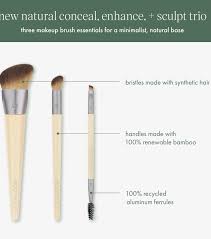ecotools new natural brush