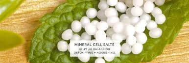 Image result for cELL SALTS
