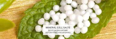 Image result for cELL SALTS Image result for cELL SALTS
