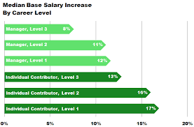 how much do ytics salaries increase