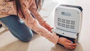 Best Dehumidifiers For Canadians In