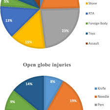 Pie Chart Showing Mode Of Injury Among Closed And Open Globe