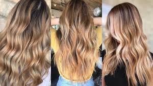 Dark chocolate hair + thin blonde streaks. 30 Best Honey Blonde Hair Colours For Women In 2021 All Things Hair