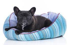 5 N Easy Dog Beds Diys With
