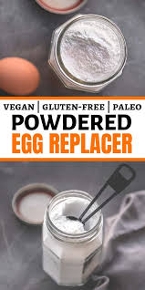 egg replacer powder powdered vegan