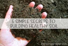 Building Healthy Soil