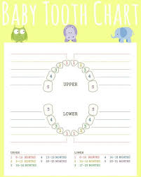 Teething Isnt For Babies Gift Basket Baby Teething Chart