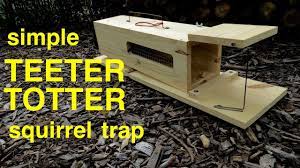 humane teeter totter squirrel trap