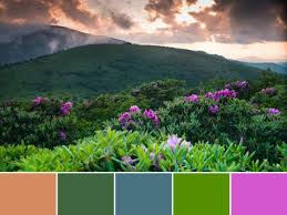 18 Color Palettes Inspired By National