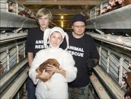 The Animal Rights Movement