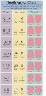 23 Incredibly Helpful Charts For New Parents New Baby