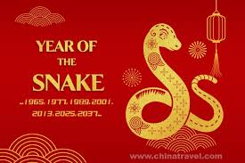 year of the snake personality