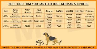 German Shepherd Dog Breed Information Growth And Sale