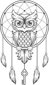 Drawing Pictures Of Owl At Getdrawings Com Free For Personal Use