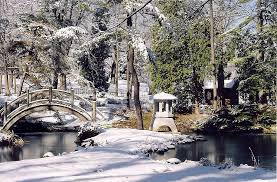 winter walks in the fabyan anese