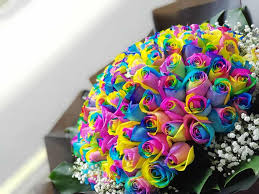 use a rainbow roses bouquet as a