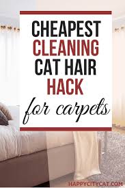 how to get cat hair out of carpet