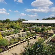 garden centres to visit in oxfordshire