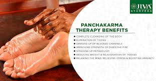 Panchakarma Therapy At Jiva Is Designed To Give You A