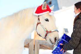 2023 holiday gift guide for your horse