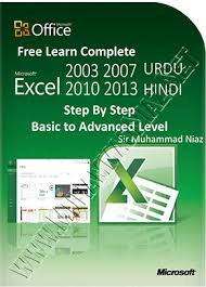 learn microsoft excel in urdu and hindi