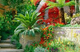 a sparkling tropical garden with