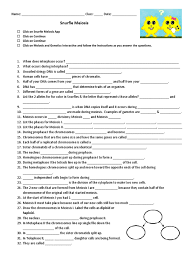 Some of the worksheets for this concept are meiosis matching work meiosis and mitosis answers work snurfle meiosis answer key pdf pdf full ebook by hollis alice answer key for meiosis work 013368718x ch11 159 178 meiosis virtual lab answer key biology 1 work i selected. Snurfle Meiosis Another Ws Meiosis Chromosome