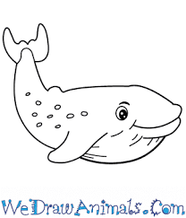 how to draw a cartoon blue whale