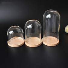 Miniature Glass Dome Display Bell Jar