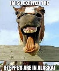 Im so excited the Steppe&#39;s are in aLaska! meme - Funny Horse Face ... via Relatably.com