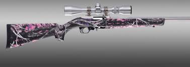 tincanbandit s gunsmithing the pink 10 22