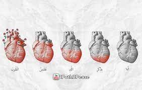 ar ra d 13 28 ٱل ذ ين ء ام ن وا و ت ط م ئ ن ق ل وب ه م ب ذ ك ر ٱلل ه أ ل ا ب ذ ك ر ٱلل ه ت ط م ئ ن ٱل ق mood quotes arabic quotes funny quotes