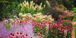 best herbaceous border plants and ideas