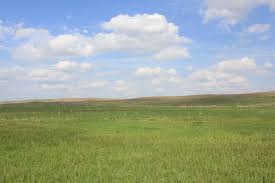 Pasture, rangeland, and forages cover approximately 55 percent of all u.s. Know Your Rangeland For Better Beef Production Unl Beef
