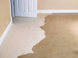 carpet odor from water damage