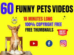 Cutest New Born Puppy Hashtag Trending Video You Tube Short Youtube gambar png
