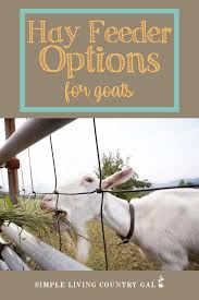 hay feeder options for goats simple