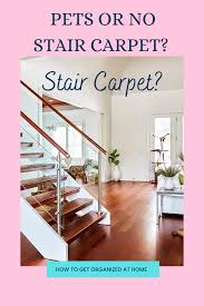 how to remove pet hair from carpeted stairs