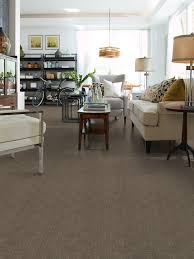 tuftex stainmaster carpet fusion