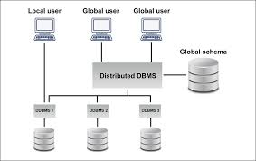 database management software features