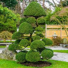 How To Make A Topiary The Home Depot