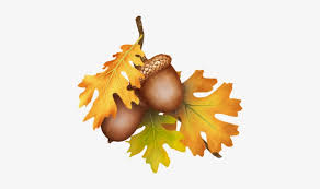 Acorn Drawing Pen - Oak Leaves With Acorns PNG Image | Transparent PNG Free  Download on SeekPNG