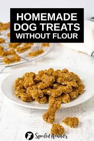 homemade dog treats without flour