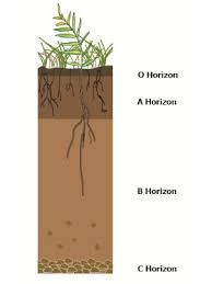 How Soils Form Environment Land And Water Queensland