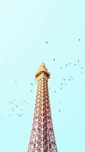 Paris Eiffel Tower Birds Colorful
