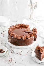 dark chocolate mousse cake with