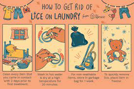 how to wash laundry infested with lice