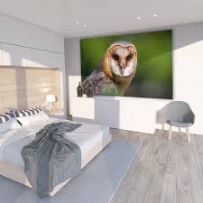 Beautiful Barn Owl Canvas Wall Art