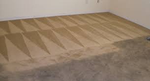 best carpet cleaning winchester va